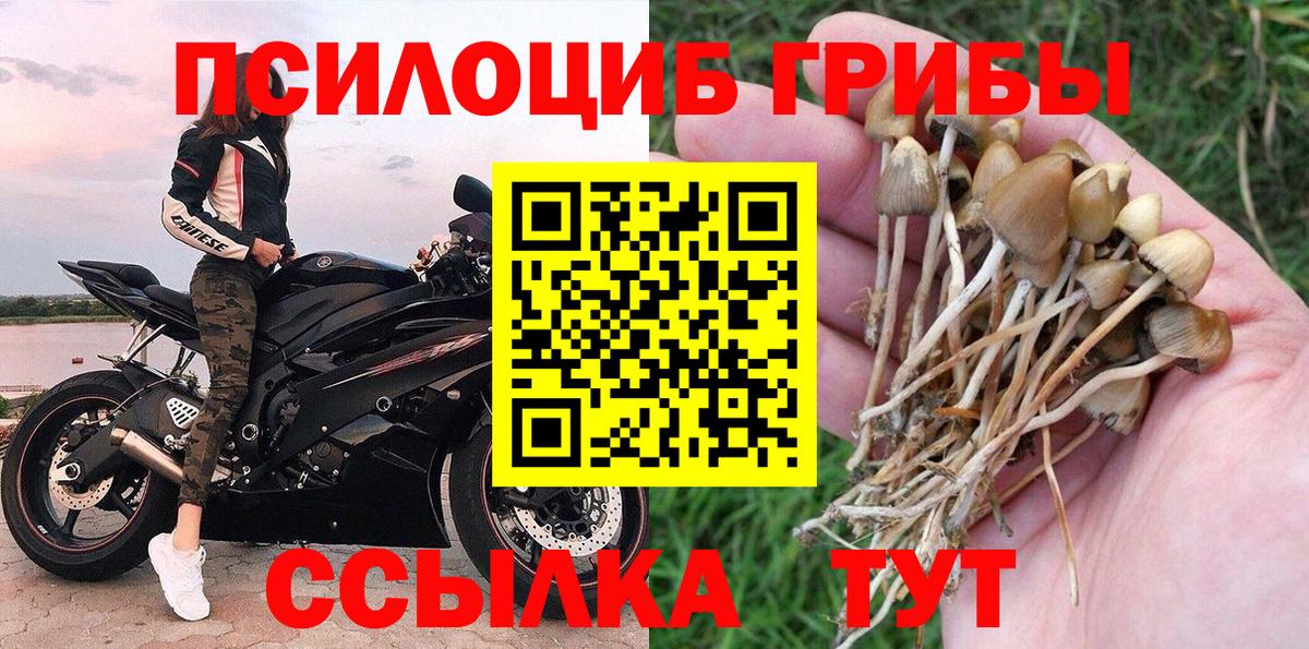 Гусиноозёрск  Галлюциногенные грибы MAGIC MUSHROOMS  Вход с VPN 